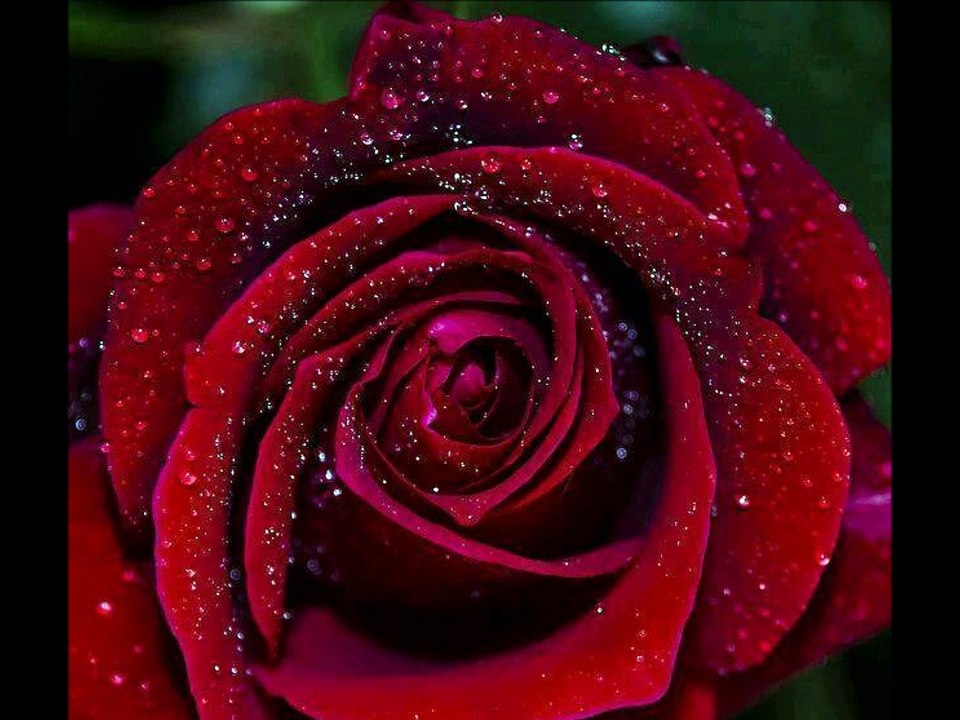 CHERYL BENTYNE - This Masquerade