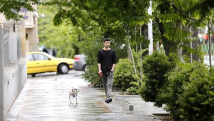 İran'ın Başkenti Tahran'da Köpek Gezdirmek Yasaklandı