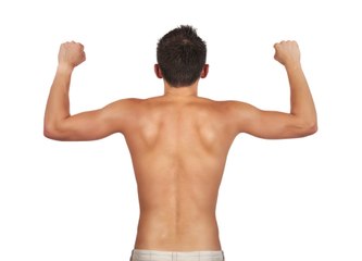 Les muscles les plus puissants du corps humain