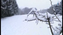 Chutes de neige à Roy (Marche-en-Famenne)