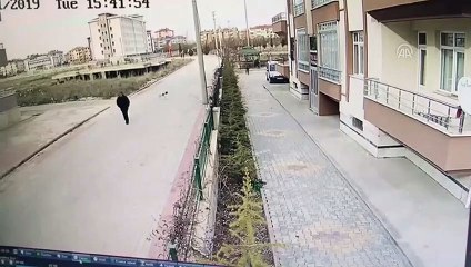 Otomobille köpeğe kasıtlı çarpma anı güvenlik kamerasında - KONYA