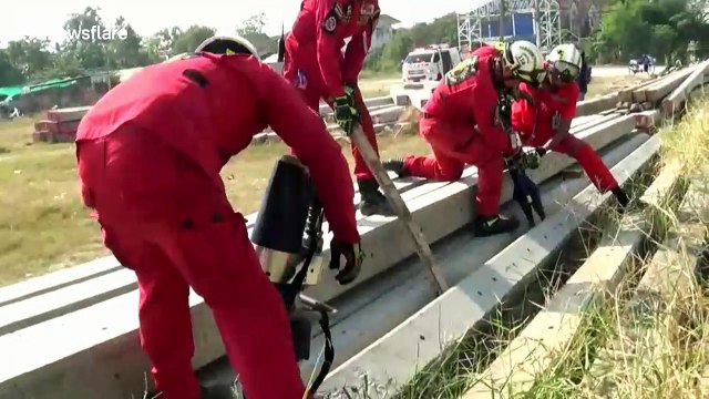 Four puppies rescued after spending two days trapped under concrete electricity posts