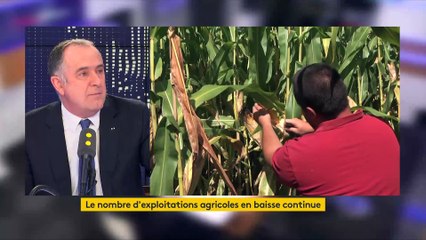 "Il faut peut-être que la distribution fasse un petit peu moins de profits" dit Didier Guillaume