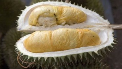 Durian: Endonezya'da Tanesi 5280 Liraya Satılan Meyve