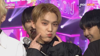 Show Champion EP.301 '원조 청량돌' 세븐틴, 이제는 감성돌로 돌아왔다