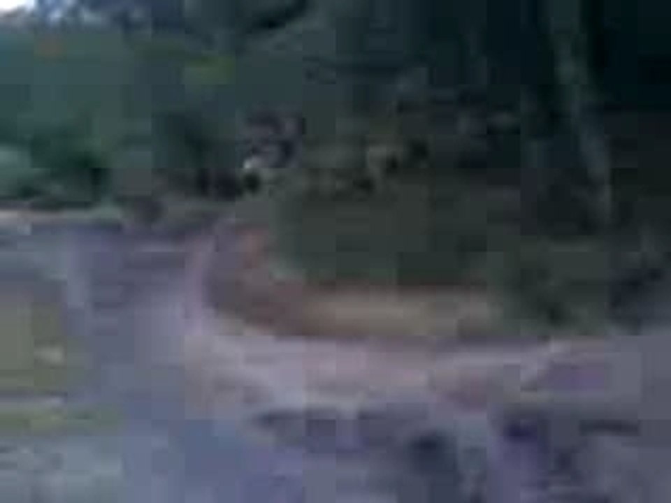 BMX EN WEELING
