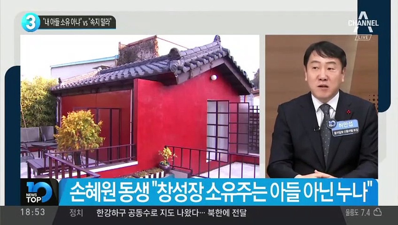 “내 아들 소유 아냐” vs “속지 말라”…손혜원 동생 ‘폭로’