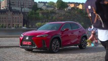 Lexus erwartet 2019 weiteres Wachstum in Deutschland
