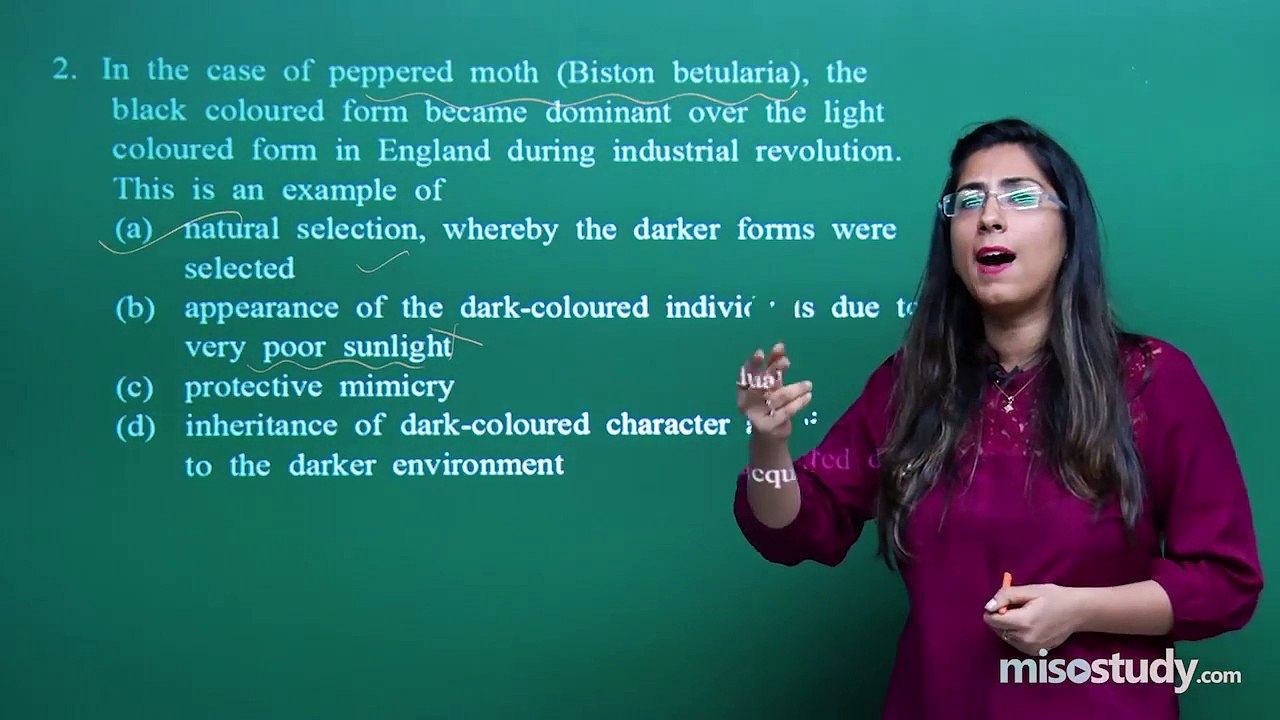 Biology  NEET