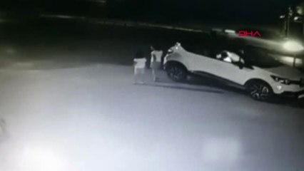 Adana Çukurova Belediyesi, Hayvanseverlere Kedi Maması Dağıttı.