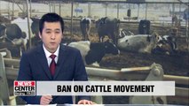 Government imposes 48-hour ban in movement of livestock