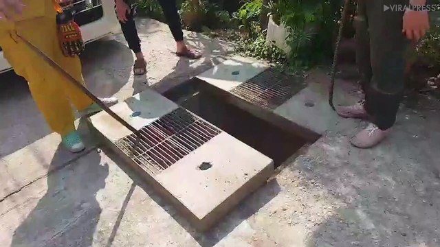 Kitten Trapped In Drain For Two Days Rescued