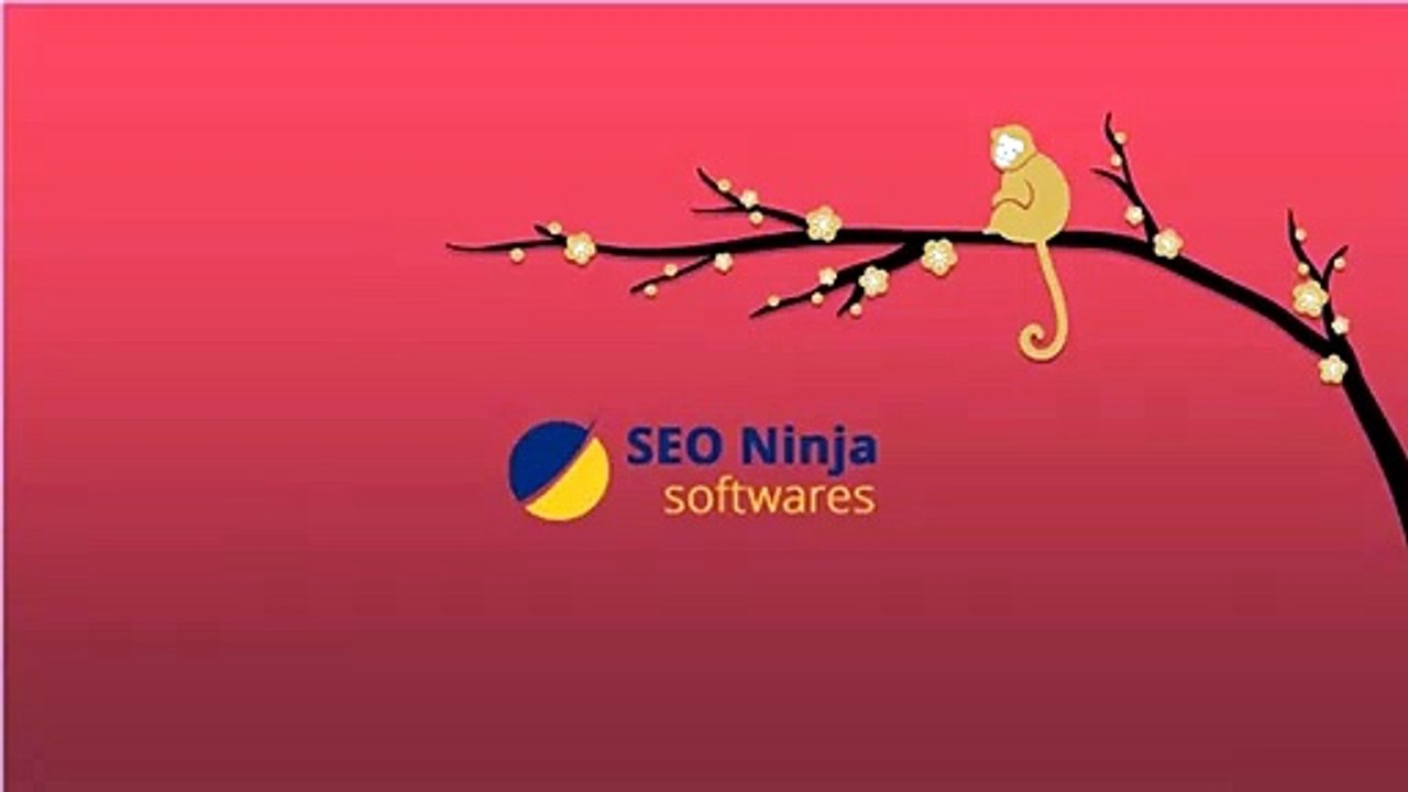 Free Online Broken Links Finder | SEONinjaSoftwares
