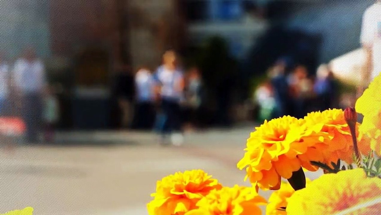 A vendre - Maison - RONCQ (59223) - 8 pièces - 250m²