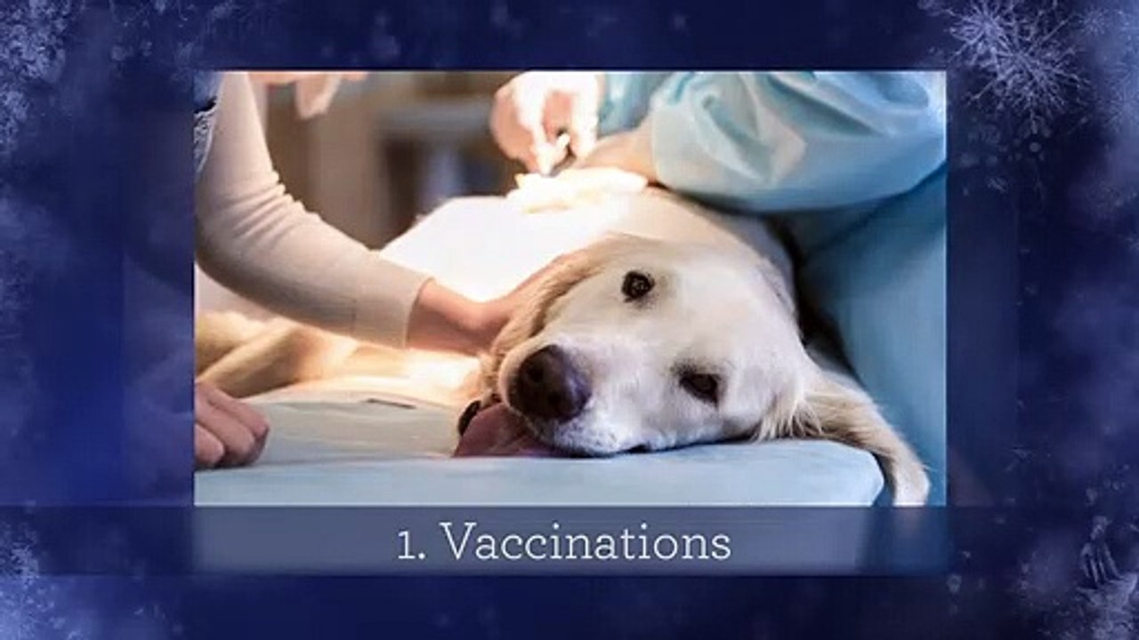 Complete Pet Protection Hospital