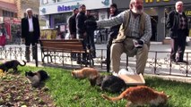 Siirtli yaşlı adamın kedi sevgisi ilgi çekiyor
