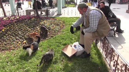 Siirtli Yaşlı Adamın Kedi Sevgisi İlgi Çekiyor