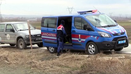 Avukatın duyarlılığı kulakları kesilen 11 köpeği kurtardı - ESKİŞEHİR