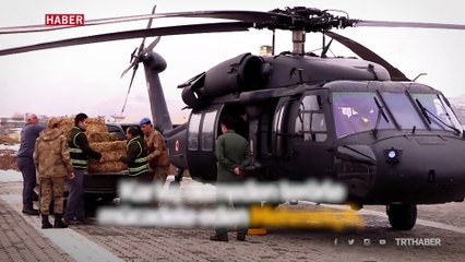 Aç kalan yabani hayvanların imdadına Mehmetçik yetişti