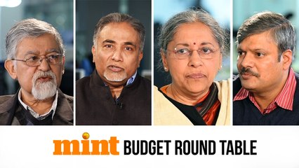 Mint Round Table: Can the interim budget revive rural sector?