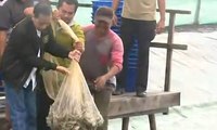 Penuhi Janji, Presiden Jokowi Panen Udang dengan Petani Tambak