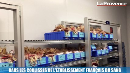 La Minute Santé : dans les coulisses de l'établissement français du sang