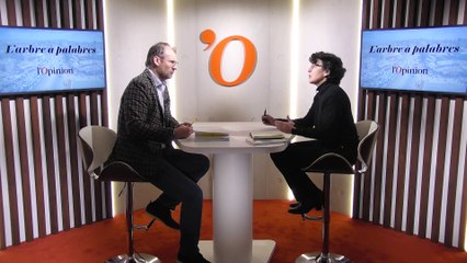 Bénédicte Châtel (auteure) : «Les diasporas africaines en France sont des actrices de la mondialisation»