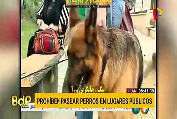 En Irán prohíben el paseo de perros en lugares públicos