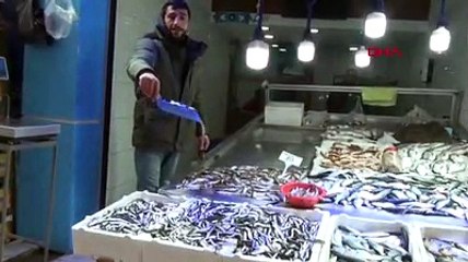 Karadeniz'de hamsi sürüleri geri dönüyor