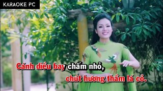 Karaoke Ánh Mắt Quê Hương - Tân Nhàn, Thu Hà