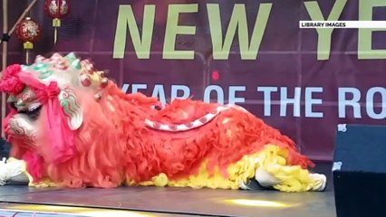 GOODLINES: 31st January 2019