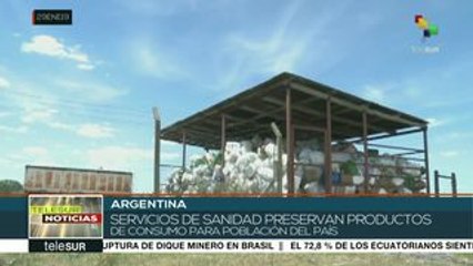 Argentina: fumigaciones indiscriminadas en plantaciones de alimentos