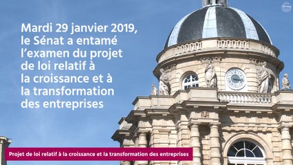[Questions sur] Le projet de loi relatif à la croissance et la transformation des entreprises