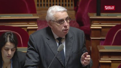 Pacte : « L’écologie contre l’emploi, ce n’est pas quelque chose qui serait bien perçu et défendable » (Jean-Pierre Sueur)