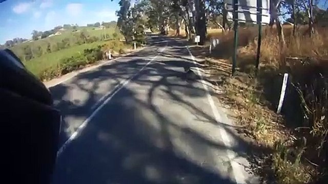 Ce motard sauve un Koala assis en plein milieu de la route !