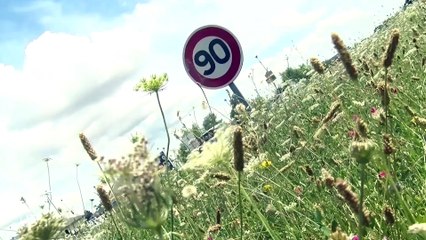 Le journal - 30/01/2019 -  90 KM/H: Le Loir-et-Cher veut un retour partiel