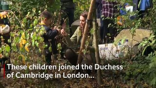 Duchess of Cambridges first engagement since Prince Louis - BBC News