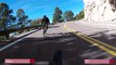 Un chevreuil fait chuter un cycliste (Arizona)