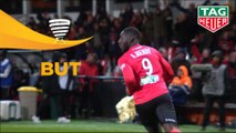 But Alexandre MENDY (46ème) / EA Guingamp - AS Monaco - (2-2) - (EAG-ASM) / 2018-19