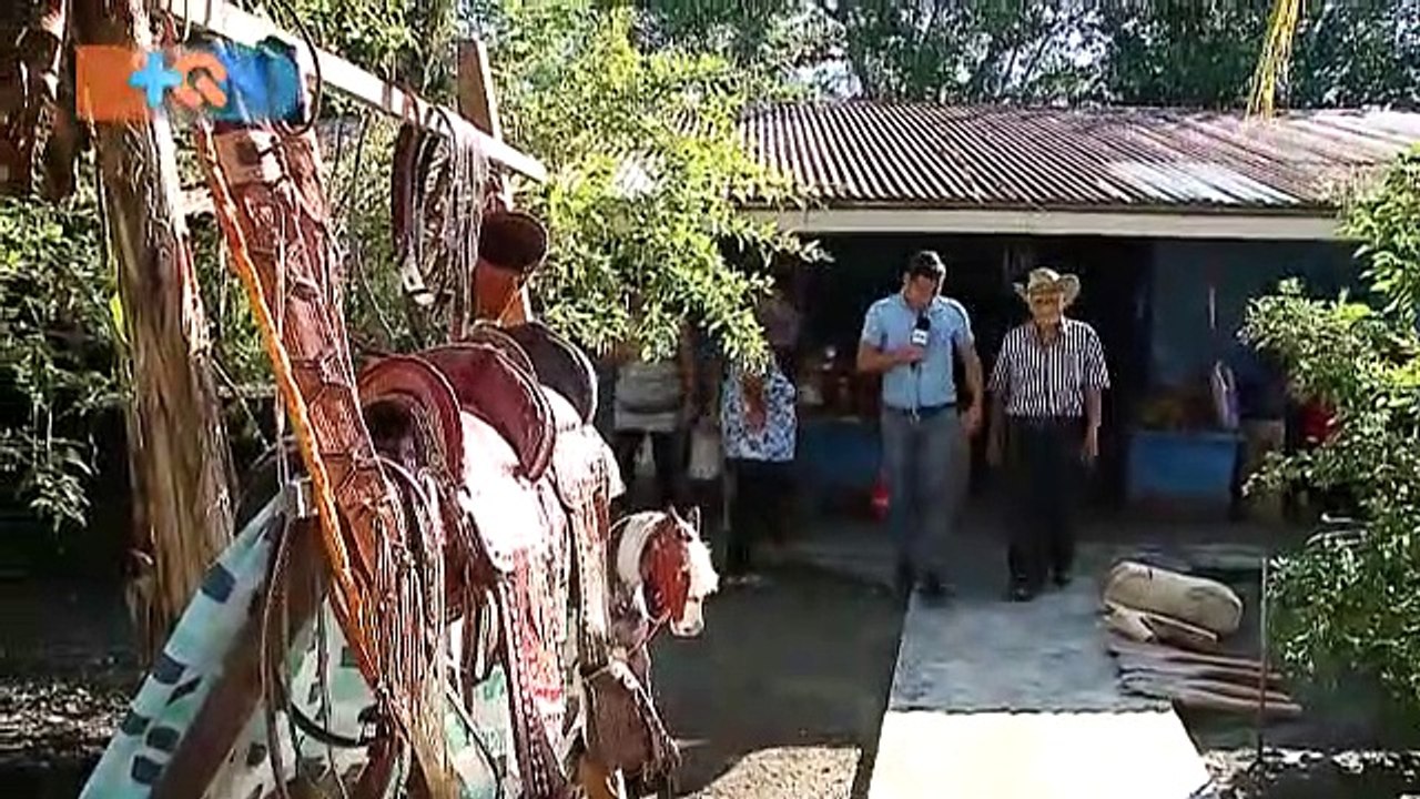 mqn-Don Tino tiene 90 años y una incansable actitud para el trabajo -300119