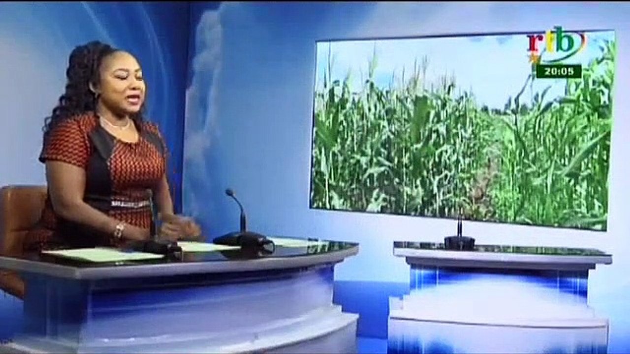 RTB - Lancement d’un projet par le ministère de l’agriculture et des aménagement hydro agricole en vu de booster la production agricole