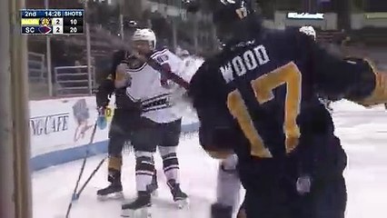 ECHL Norfolk Admirals 2 at South Carolina Stingrays 2