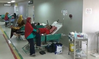 Ratusan Orang Terserang DBD, Pemprov Belum Tetapkan KLB