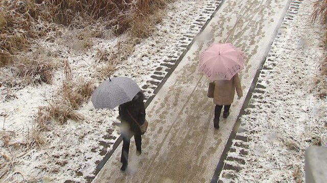 [취재N팩트] 귀성길 비·눈...설날, 반짝 추위 뒤 中 스모그 / YTN