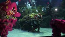 Underwater lion dance for Lunar New Year