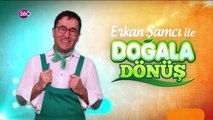 Doğala Dönüş - Ahşap Mobilya Temizliği - 30 01 2019