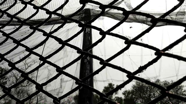 Nandankanan Zoological Park(Odia: ନନ୍ଦନକାନନ ଜୀବ ଉଦ୍ୟାନ) is a 400-hectare (990-acre) zoo and botanical garden in Bhubaneswar, Odisha, India. Established in 1960, it was opened to the public in 1979 and became the first zoo in India to join World Associatio