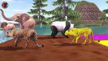 Learn Colors With Animals Names And Sounds For Nursery ## || lion tiger bear cheetah gorilla