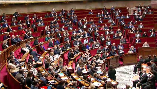 1ère séance : Questions au Gouvernement ; Prévention et sanction des violences lors des manifestations (suite) - Mercredi 30 janvier 2019