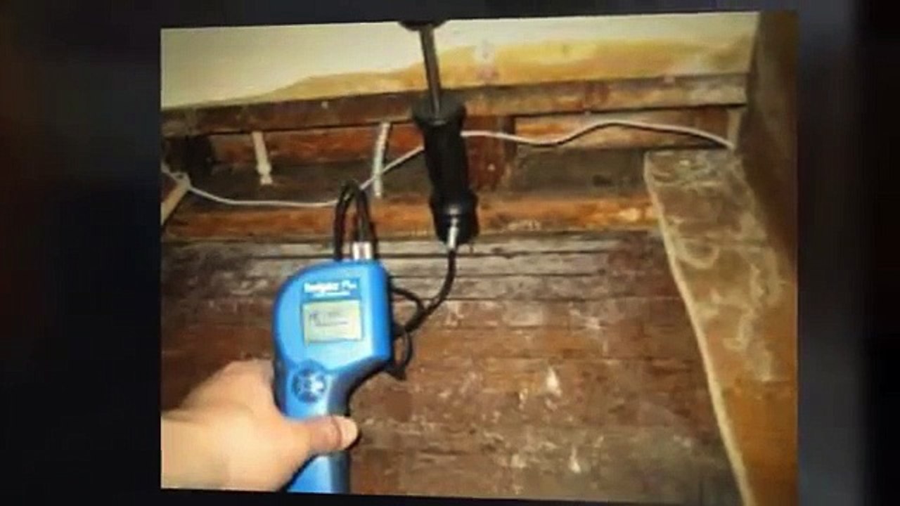 Flood Damage Cleanup and Restoration NYC